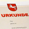 Urkunde 2010